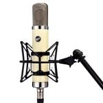 Warm Audio WA-251 Large Diaphragm Tube Condenser Microphone Front View